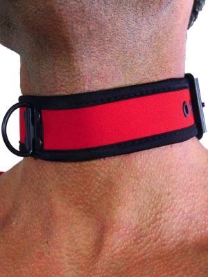 Rude Rider Neoprene Puppy Collar Red