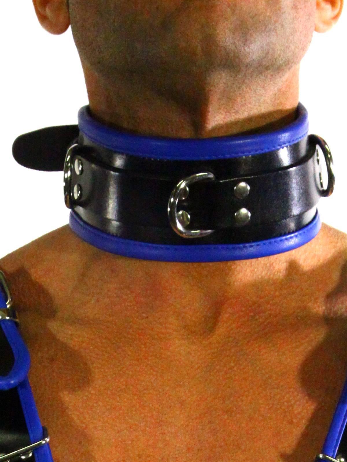 RudeRider Collar 3 D-Ring with Padding Leather Black/Blue One Size